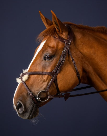 Dyon Figure 8 Noseband Bridle image 0