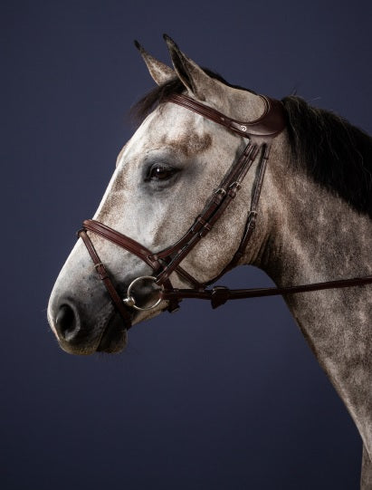 Dyon Difference Bridle image 0
