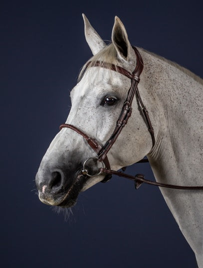Dyon Leather Covered Rope Noseband Bridle image 0