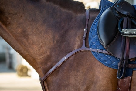 Dyon Long Bridge Breastplate image 0