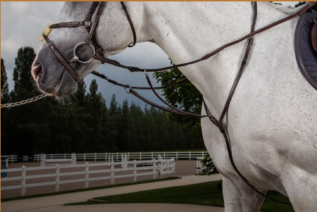 Dyon Running Martingale image 0