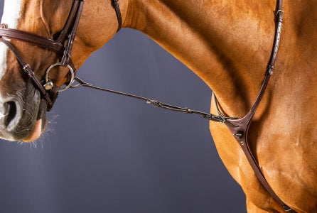 Dyon Standing Martingale Attachment image 0