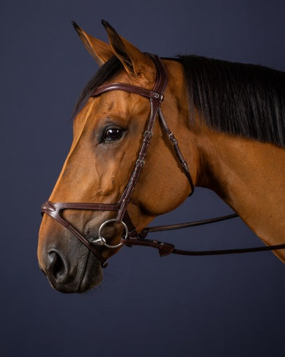 Dyon X Fit Bridle image 0