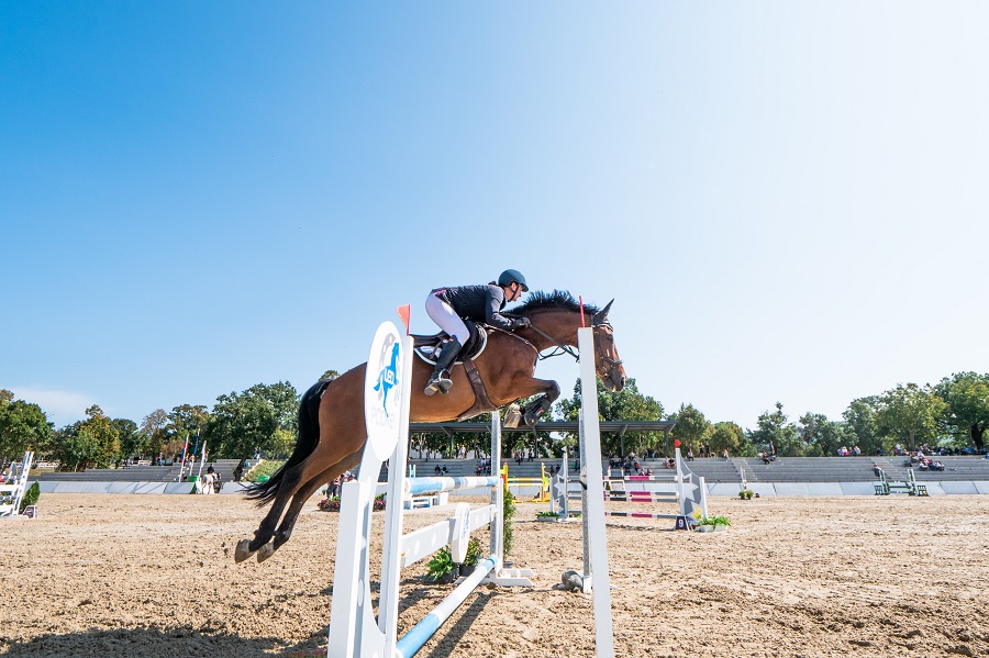 Horse Riding Safety Vest