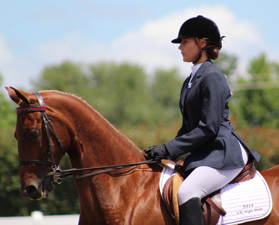 English Riding Apparel, Equestrian Clothing